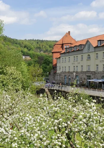 HOTEL ALTER PACKHOF
