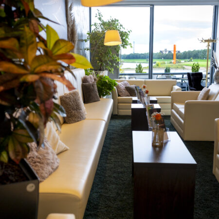 Gemütlicher Lounge-Bereich im Hotel Rheingarten mit Sofas, Pflanzen und Blick auf den Rhein