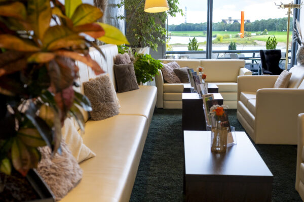 Gemütlicher Lounge-Bereich im Hotel Rheingarten mit Sofas, Pflanzen und Blick auf den Rhein